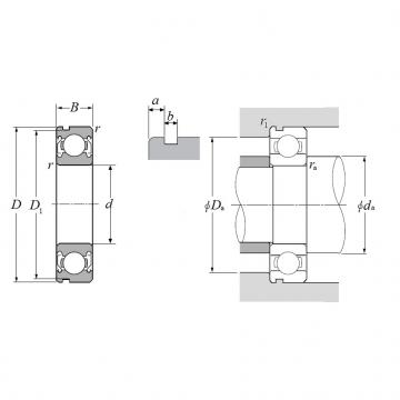 6002ZZNC3, Single Row Radial Ball Bearing - Double Shielded, Snap Ring Groove