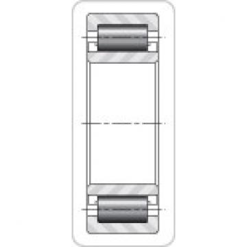 Timken NU5164MAW61