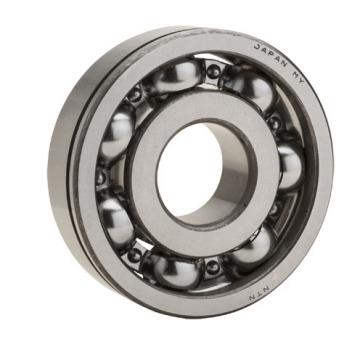 60/22N, Single Row Radial Ball Bearing - Open Type, Snap Ring Groove