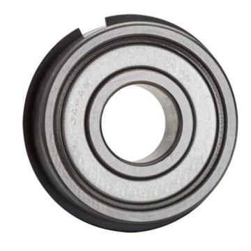 60/28ZZNR, Single Row Radial Ball Bearing - Double Shielded w/ Snap Ring