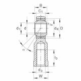 FAG Rod ends - GIKL10-PB