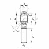 FAG Rod ends - GAKL10-PB