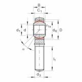 FAG Rod ends - GAKL12-PW