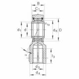 FAG Hydraulic rod ends - GIHNRK12-LO