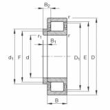 FAG Zylinderrollenlager - NJ303-E-XL-TVP2 + HJ303-E